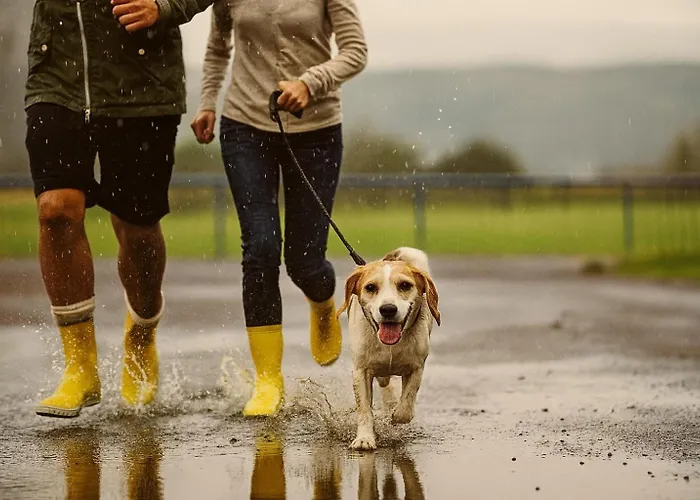 Bps #5 View Appartement *