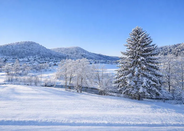 Bps #5 View Appartement